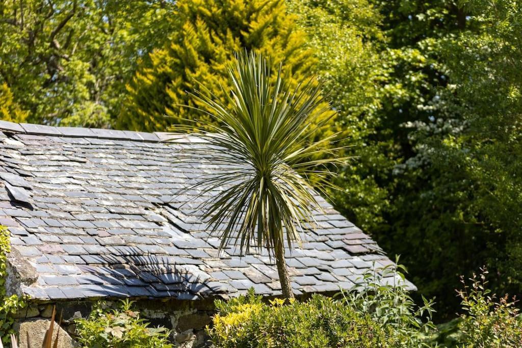 Plas Newydd With Swimming Pool, Fire Pit, And Log Fires Villa Rhiw Buitenkant foto